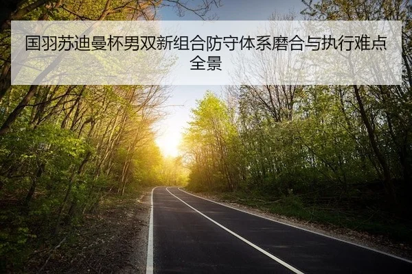国羽苏迪曼杯男双新组合防守体系磨合与执行难点全景